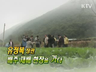 유정복 장관, 배추재배 현장을 가다 [정책, 현장을 가다]