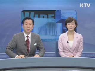 정책 와이드 (100회)