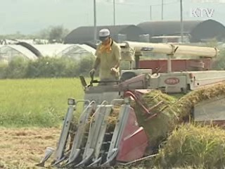 공공비축쌀 4만7천원…작년 수준 유지