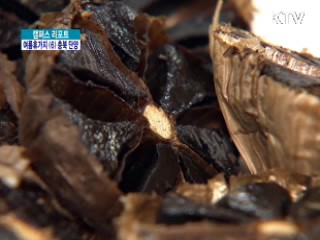 유엔 '살기 좋은 도시' 대상 받은 '단양' [캠퍼스 리포트]