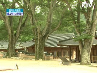 푸른 쪽빛의 세상 강진으로 [캠프스 리포트]