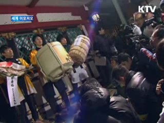 얼음바다에 갇힌 범고래의 사투