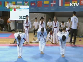 2013 세계태권도 한마당