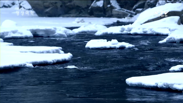 카메듀서의 映像美學 (18회)