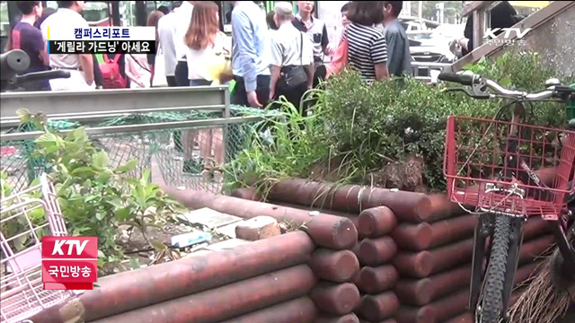 자투리 땅을 꽃밭으로 '게릴라 가드닝'