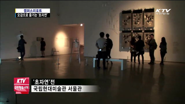 오감으로 즐기는 '초자연' 작품