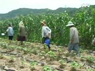 직불제·보조금 통·폐합…자립 강화