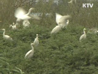 전국 25곳 강변문화공원 조성