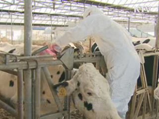 축산 관계자 귀국시 방역검사 의무화