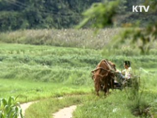 해외 진출 영화, 50%까지 금융기관 대출