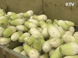 물가 4.1% 상승…돼지고기·배추 공급 확대