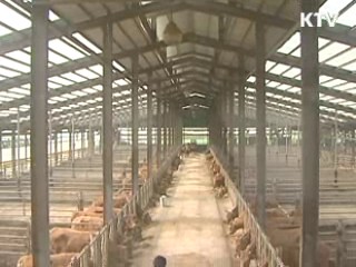 구제역.AI 등 전화 예찰로 상시 점검