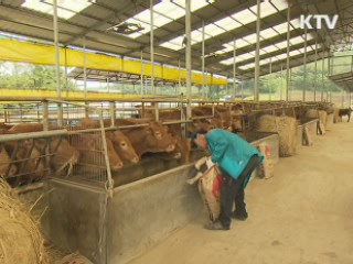 한우 소비 적극 확대, 사육두수 감축 유도