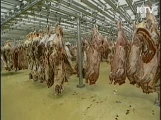 미국산 쇠고기 검역 강화…전면 개봉검사