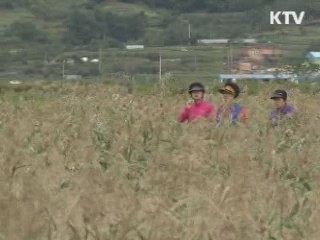 거센 '힐링열풍'...국민 절반 "힐링 필요"