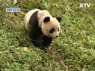 아인슈타인 '무신론 편지' 경매 나와