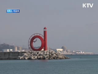 부산 야구의 상징 '갈매기 등대' [캠퍼스 리포트]