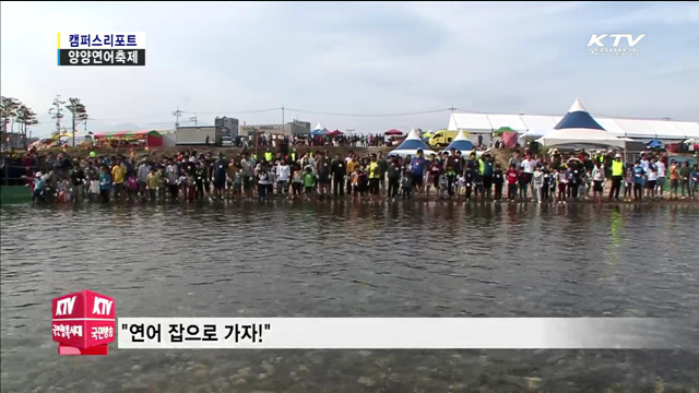 "연어가 돌아왔어요" 양양 연어축제