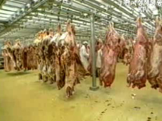 한미FTA 농업 분야 빅딜설 근거 없다