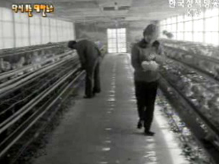 잘 사는 농촌을(`71)