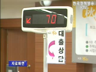 `집값 하락해도 은행 건전성 문제없어`