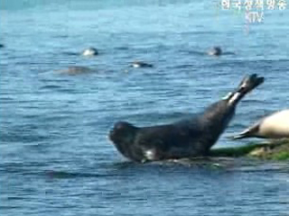 해양생태계 보전·관리 일원화