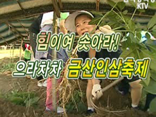 힘이여 솟아라! 으라차차 금산인삼축제