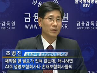 AIG 국내 가입자 피해 없어