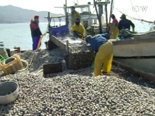 어업용 유류 면세혜택 축소
