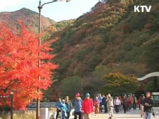 이번 주말부터 단풍철 '안전산행' 주의