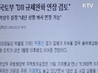 DTI 규제완화 연장 검토 안해