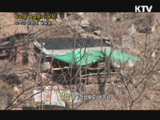 소백산 첫동네, 달밭골 