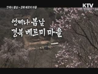 언제나 봄날 - 경북 베르미 마을 