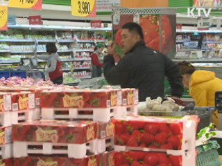 일본산 수입식품 방사능 '철통 검역중'