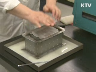 단백질 함량 세계 최고 두부콩 개발