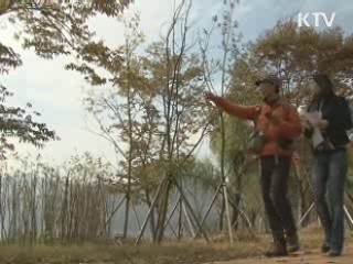 이젠 손 안에 '도보여행'