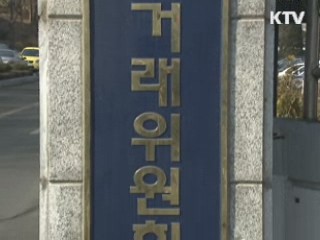 온라인 쇼핑몰 법 위반 사항 일제점검