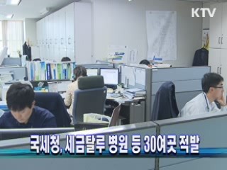 국세청, 세금탈루 병원 등 30여곳 적발