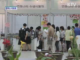 알록달록 컬러풀 '대구 꽃 잔치'