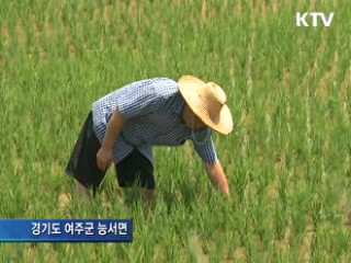 4대강 농업용수 공급…가뭄 해소 기여