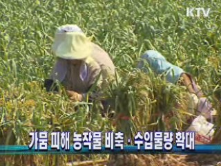 가뭄 피해 농작물 비축·수입물량 확대