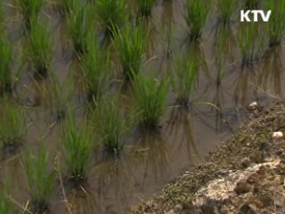 가뭄지역 용수 공급 확대, 저수지 준설