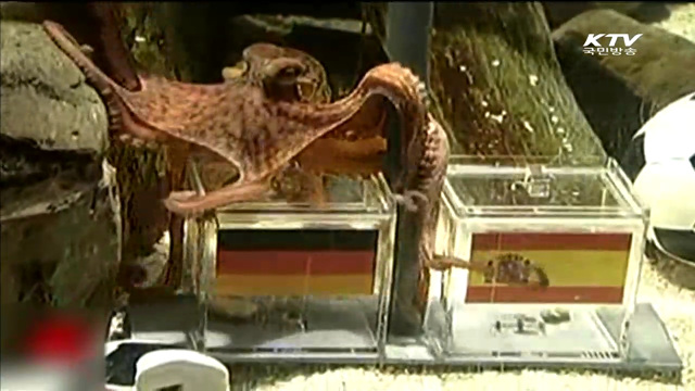 도핑테스트 적발 한 명도 없어…'클린 월드컵'