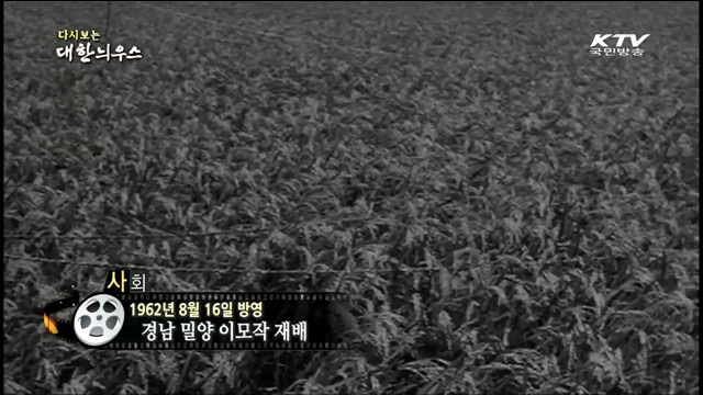 다시보는 대한늬우스 (62.08.16)