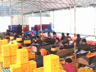 실익 `많고` 부담 `적다`