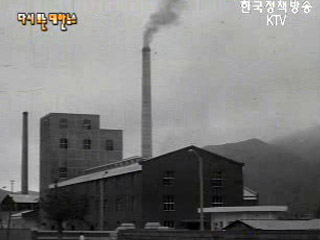 건설의 메아리(`66)