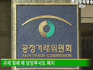 규제개혁 속도 낸다