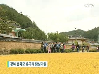 전통마을에서 1박2일 [현장포커스]