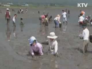 농산어촌 체험여행 100개 더 늘린다