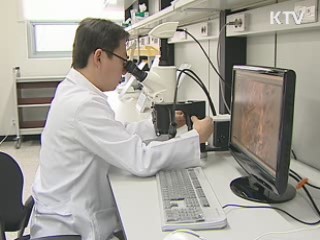 6·25 전사자, 60년 만에 가족 품에 귀환